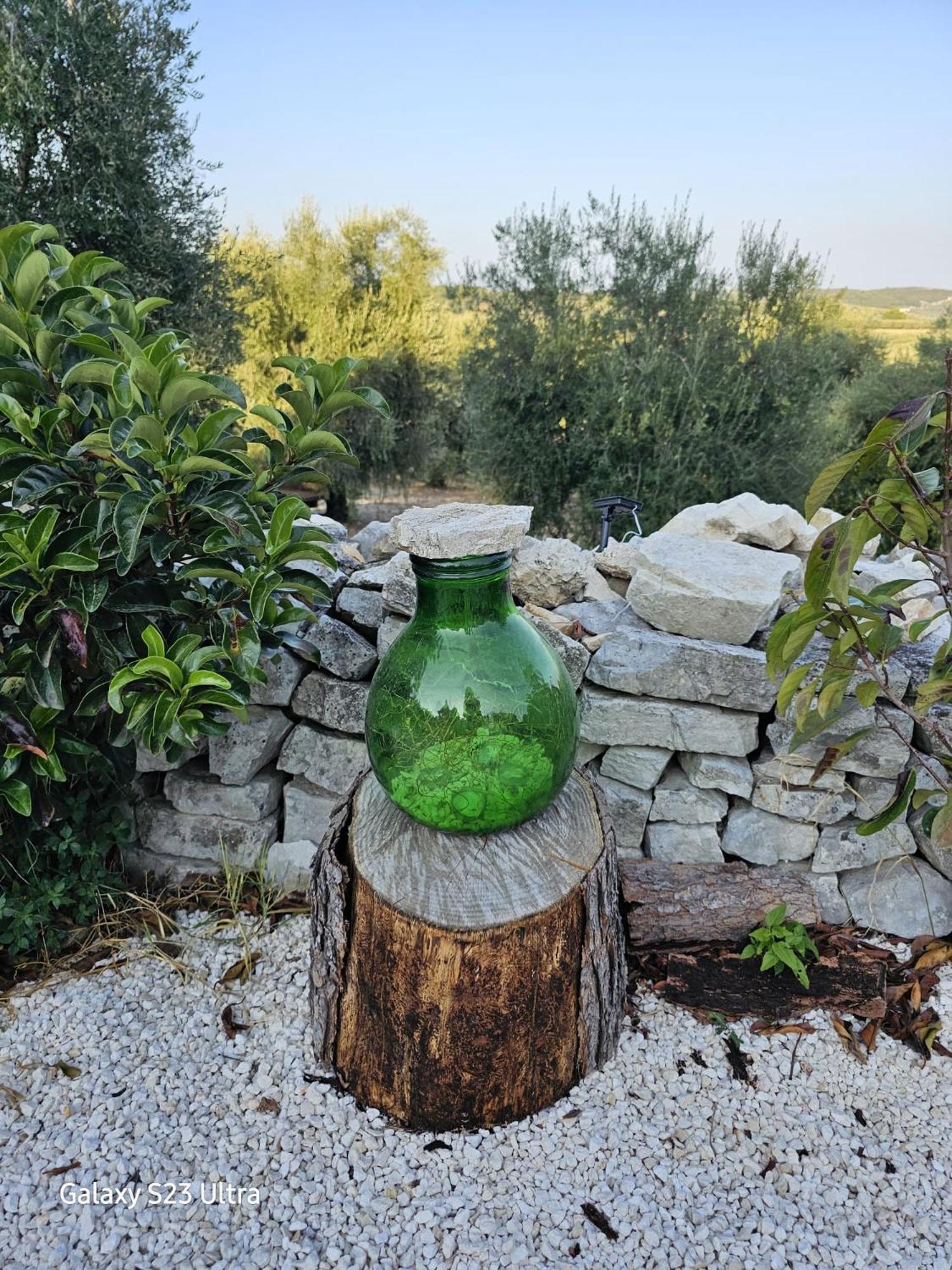 Azienda Agricola Gentile - La Casa Degli Ulivi Vieste Ngoại thất bức ảnh